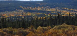 DSCN0890 (Sensory Overload)