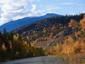 DSCN0891 (Sensory Overload)