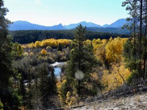 DSCN0964 (Sensory Overload)