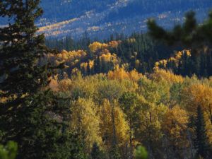 DSCN0965 (Sensory Overload)