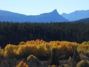 DSCN0967 (Sensory Overload)