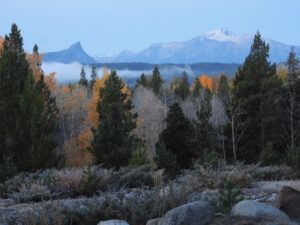 frost (Sensory Overload)