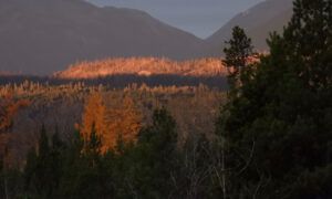 gleam of light (The Slow Slide Into Winter.)