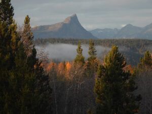 1 October light (OCTOBER)