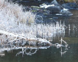 9 green river (OCTOBER)