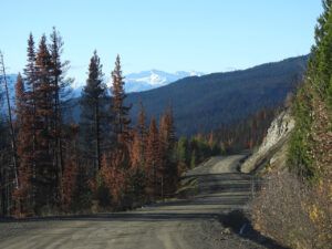 12 through burn (OCTOBER)