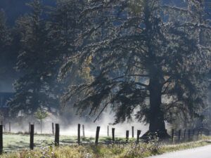 18 mist rising (OCTOBER)