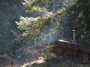 18. steamy sauna (NOVEMBER)