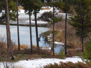 5 open water (NOVEMBER)