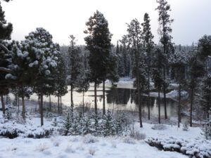 21 snow and pond 1/2 ice (OCTOBER)