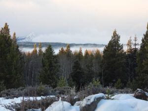 23 tiny snowfall (NOVEMBER)