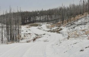 25 little snow (NOVEMBER)