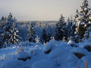 5 1st real snow (NOVEMBER)