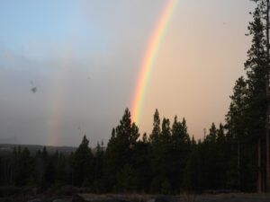 8 rainbow 1 (OCTOBER)