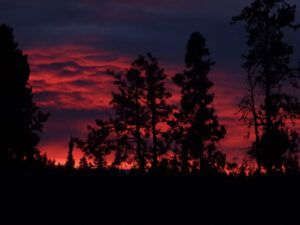 8 sunrise 1 (NOVEMBER)