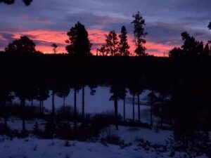 9 sunrise 2 (NOVEMBER)