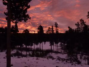 pink sinrise (NOVEMBER)