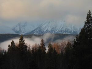 1 late December (The Ten-day Winter)
