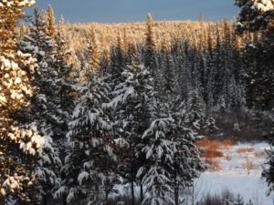 10 evening sun (The Ten-day Winter)