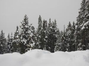 13 mostly grey (The Ten-day Winter)