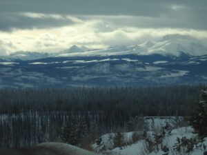 14 winter gleams (The Ten-day Winter)