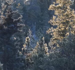 17 frost textures (The Ten-day Winter)