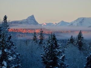 20 reward 2 (The Ten-day Winter)