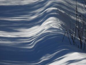 22 shadows 1 (The Ten-day Winter)