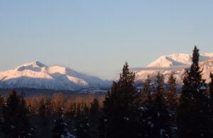 DSCN2018 (The Ten-day Winter)