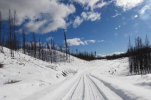 road (The Ten-day Winter)