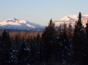 this morning. (The Ten-day Winter)