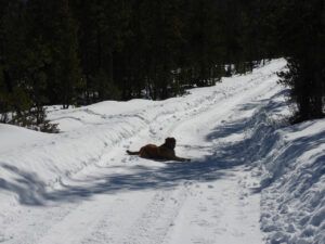 13 snow level on road (2024 SPRING EQUINOX)