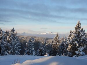 7 pretty morning (2024 SPRING EQUINOX)