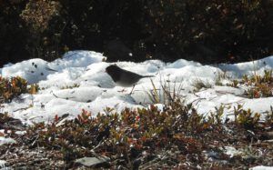 DSCN2192 (2024 SPRING EQUINOX)