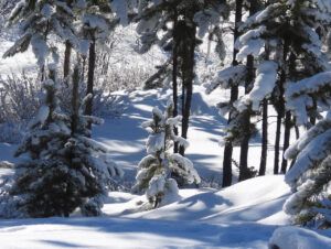 shadows (2024 SPRING EQUINOX)