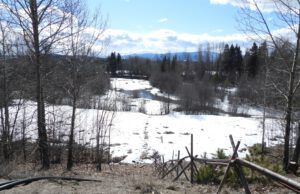 1 river (AFTER THE SOLSTICE)