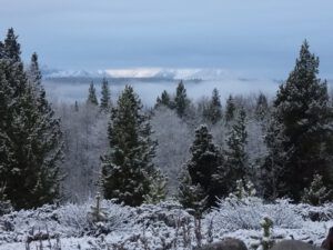 17 snow (AFTER THE SOLSTICE)