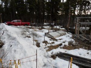 2 ashes on garden (AFTER THE SOLSTICE)