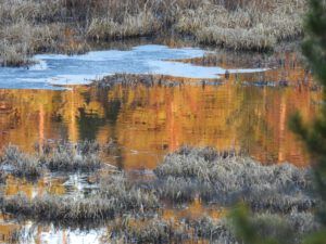golden open water (AFTER THE SOLSTICE)