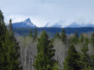 1 1st hint green (THE GREENING)