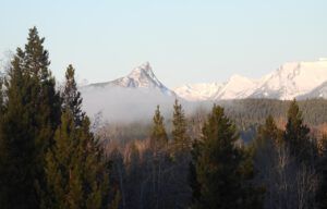 morning (SPRING WORK)