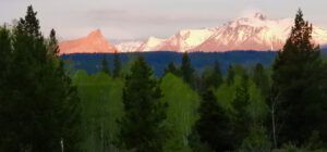 pink and green (THE GREENING)