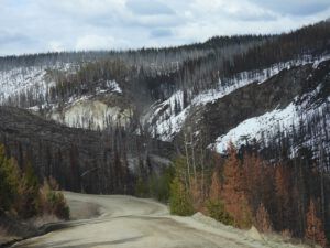 BC12 fire site (SPRING WORK)