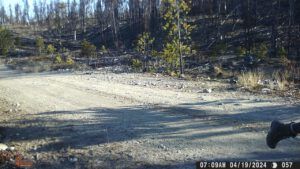 22 jade running (SPRING WORK)