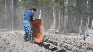 3 manure (SPRING WORK)