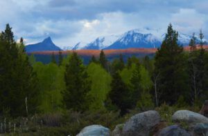 red streak (THE GREENING)