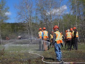 33 FP5 watering dandelions (SPRING WORK)