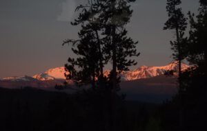 this morning (THE GREENING)