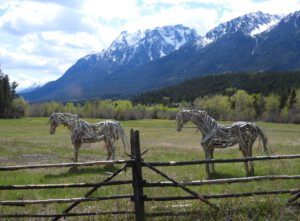 FP14 2 hgorses (SPRING WORK)