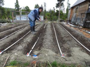 6 planting (SPRING WORK)